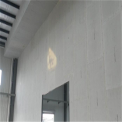 梁子湖宁波ALC板|EPS加气板隔墙与混凝土整浇联接的实验研讨